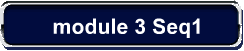 module 3 Seq1