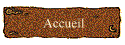 Accueil