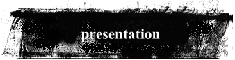presentation